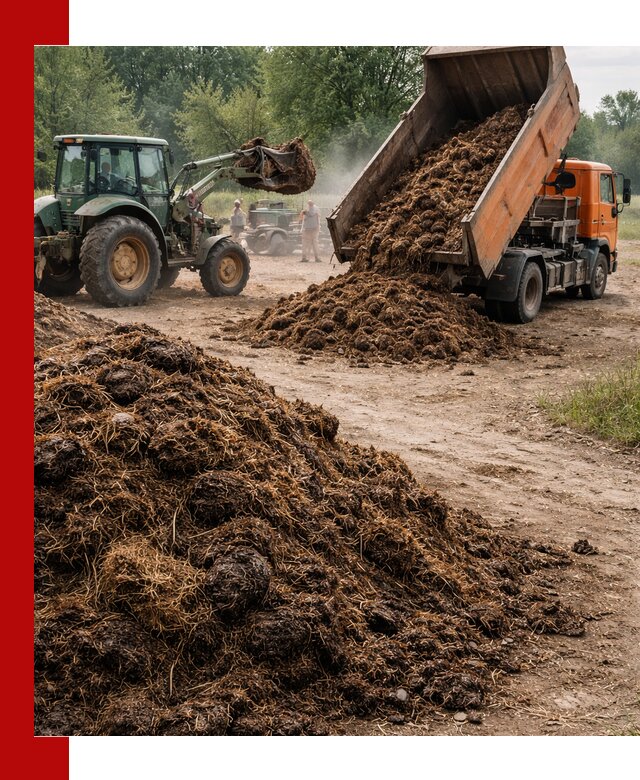 Доставка навоза самосвалами в Сланцах для сельхозпотребностей