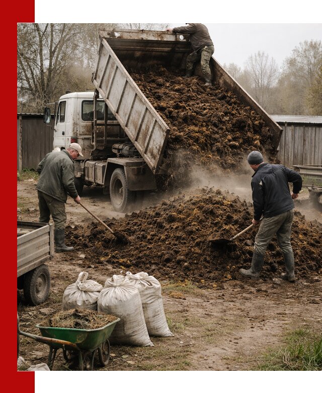 Доставка коровьего навоза самосвалом в Сланцах